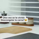 TermoPlaca Vellyka descongelando carne, con voz